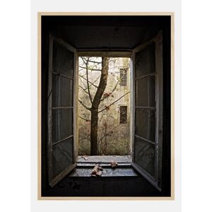 Bildverkstad Autumn In Asylum Plakat (30x40 Cm)