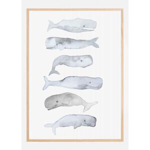 Bildverkstad Kids Line Whale Art Plakat (60x90 Cm)