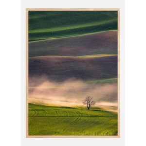 Bildverkstad Sunset In Palouse Plakat (30x40 Cm)