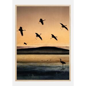 Bildverkstad Fly-In At Sunset Plakat (30x40 Cm)