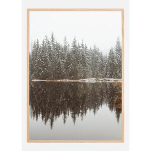 Bildverkstad Cold Day By The Lake Plakat (50x70 Cm)