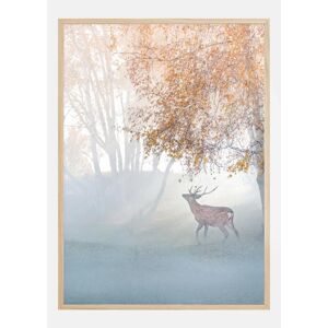 Bildverkstad Elk Lost In Mist Plakat (30x40 Cm)
