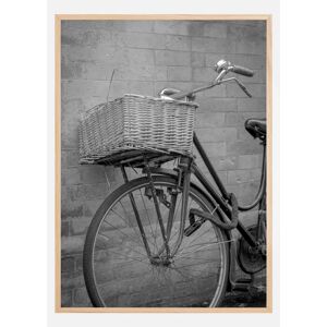 Bildverkstad Bicycle Basket Plakat (21x29.7 Cm (A4))
