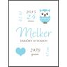 Personlig poster Owl Birth Poster Blue (21x29,7 Cm (A4))