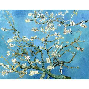 Legendarte Cuadro lienzo - Almendro en Flor - Vincent Van Gogh - 80x110cm