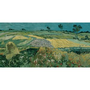 Legendarte Cuadro lienzo - La Llanura de Auvers - Vincent Van Gogh - 50x100cm