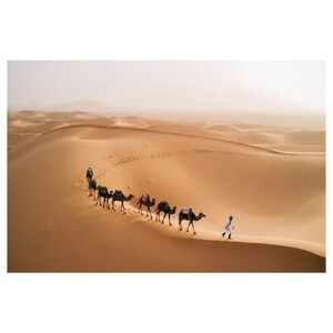 LOLAhome Cuadro desierto fotoimpreso de lienzo marrón de 120x80 cm