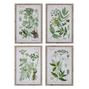 LOLAhome Set de 4 cuadros lámina botánicos enmarcados de madera y cristal verdes de 42x60 cm