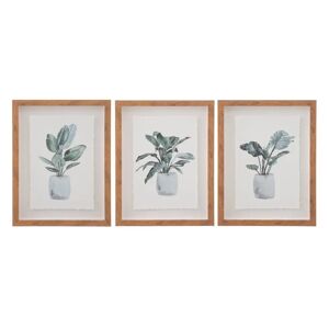 LOLAhome Set de 3 cuadros de planta lámina de cristal y lámina de papel gris
