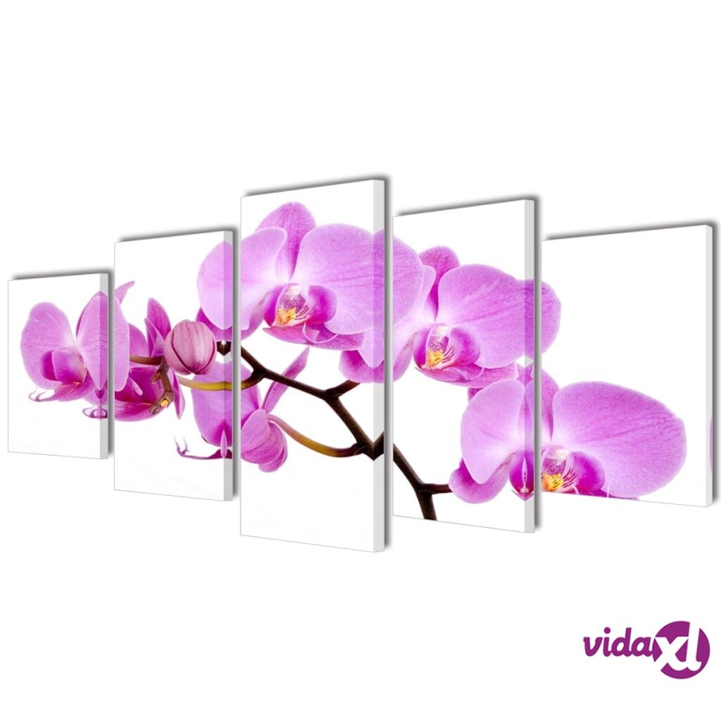 vidaXL Taulusarja Orkidea 100 x 50 cm