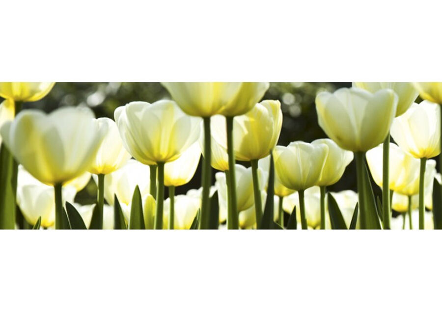 Keittiön välitila White tulips 260x60 cm