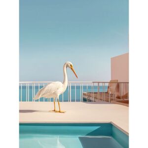 - Affiche Urban Zoo 03 multicolore - 30x40 cm Multicolore