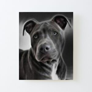 Canevas imprimer Belle peinture d'un pit-bull terrier américain pour les amoureux de cette race douce Impression sur toile Roulée Tableau Art Décoration Murale / Sans cadre 40X50cm - Publicité