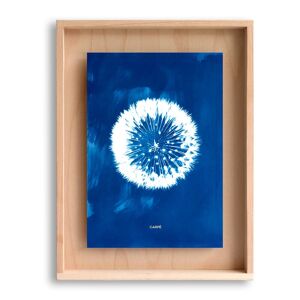 Swabdesign Cadre en bois cyanotype pissenlit 40x30cm