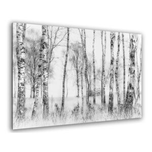 Hexoa Tableau bouleaux en monochrome Tableau plexiglas 120x80cm