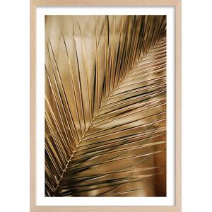 Hexoa Affiche deco golden palm avec cadre 60x90cm