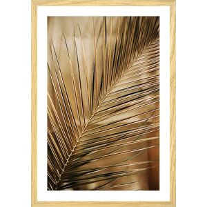 Hexoa Affiche deco golden palm avec cadre 60x90cm