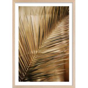 Hexoa Affiche deco golden palm avec cadre 40x60cm