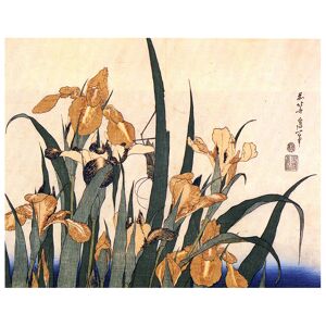 Legendarte Tableau Iris et Sauterelle Katsushika Hokusai 80x100cm