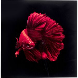 Kare Design Tableau poisson rouge en verre 100x100
