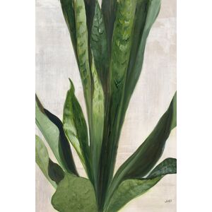 Hexoa Tableau Sanseveria aquarelle imprimé sur toile 80x120cm