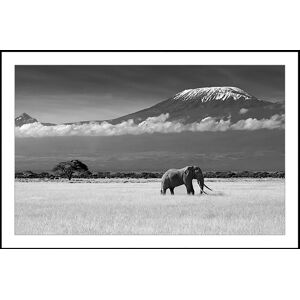 Hexoa Affiche éléphant et kilimanjaro avec cadre noir 90x60cm