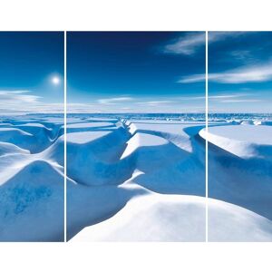 Ceanothe Triptyque sur toile enneige 125x97 cm