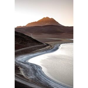 Ceanothe Tableau sur verre desert Atacama 45x65 cm