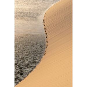 Ceanothe Tableau sur toile dunes de sable 65x97 cm