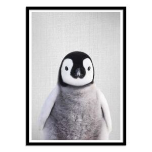 Wall Editions Affiche 50x70 cm et cadre noir - Baby penguin - Gal Design
