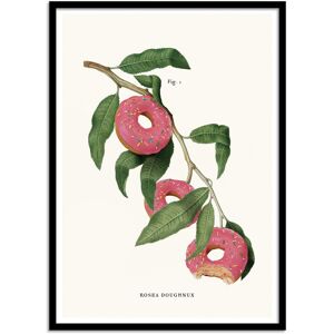 Wall Editions DONUT PLANT - Affiche d'art avec Cadre bois noir - 50 x 70 cm