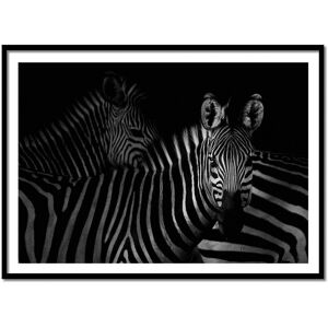 Wall Editions Affiche 50x70 cm et cadre noir - Zebras family