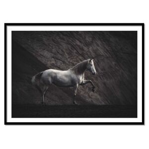 Wall Editions Affiche 50x70 cm et cadre noir - Solitaire Horse - Heike Willers