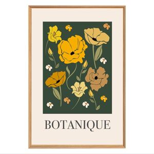 Ceanothe Tableau mural encadre illustration botanique 65x97 cm