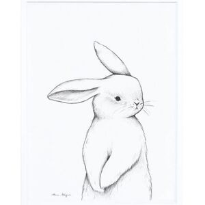 Lilipinso Affiche encadrée lapin de face (30 x 40 cm) - Publicité