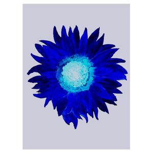 Non communiqué Poster Beneffito Nature Sunflower 1 60x80 Cm Bleu - Publicité
