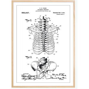 Bildverkstad Dessin de brevet - Squelette anatomique II - Poster (40x50 cm)