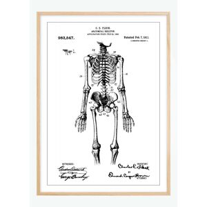 Bildverkstad Dessin de brevet - Squelette anatomique I - Poster (40x50 cm)