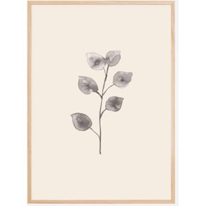 Bildverkstad Eucalyptus Twig Poster (21x29.7 cm (A4))