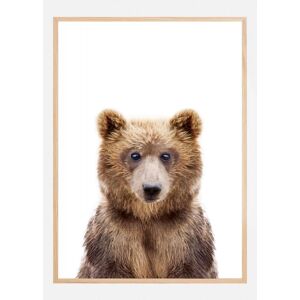 Bildverkstad Baby Bear Poster (60x90 cm)