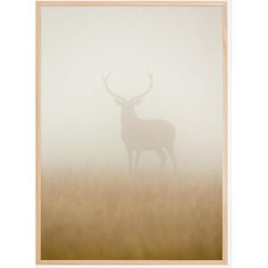 Bildverkstad Ghost Stag Poster (21x29.7 cm (A4))