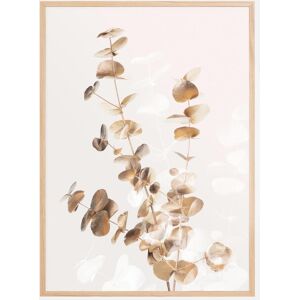 Bildverkstad Eucalyptus Creative Gold II Poster (30x40 cm)