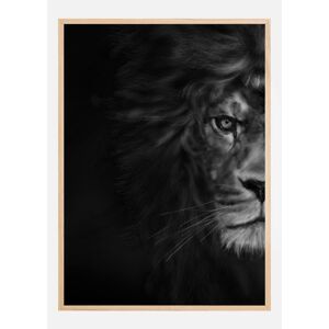 Bildverkstad Half Lion Poster (70x100 cm) - Publicité