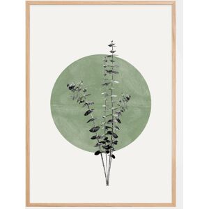 Bildverkstad Eucalyptus and Green Moon Poster (70x100 cm)