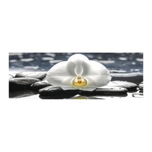 Leroy Merlin Poster White orchid 33x95 cm