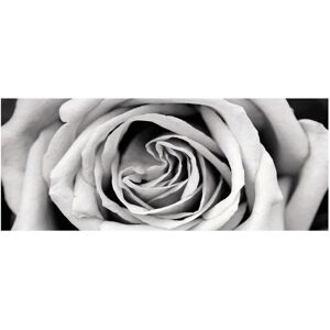 Inspire Stampa su vetro Black&White Rose 125x50 cm