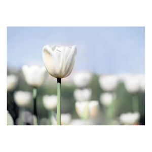 Leroy Merlin Stampa su tela Tulipani 100x140 cm