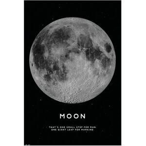 Leroy Merlin Poster Moon 61x91.5 cm