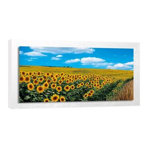 Inspire Stampa incorniciata su tela Girasoli 136 x 76 cm