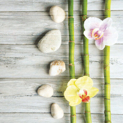 Inspire Quadro in legno Stones&Orchids 50x50 cm